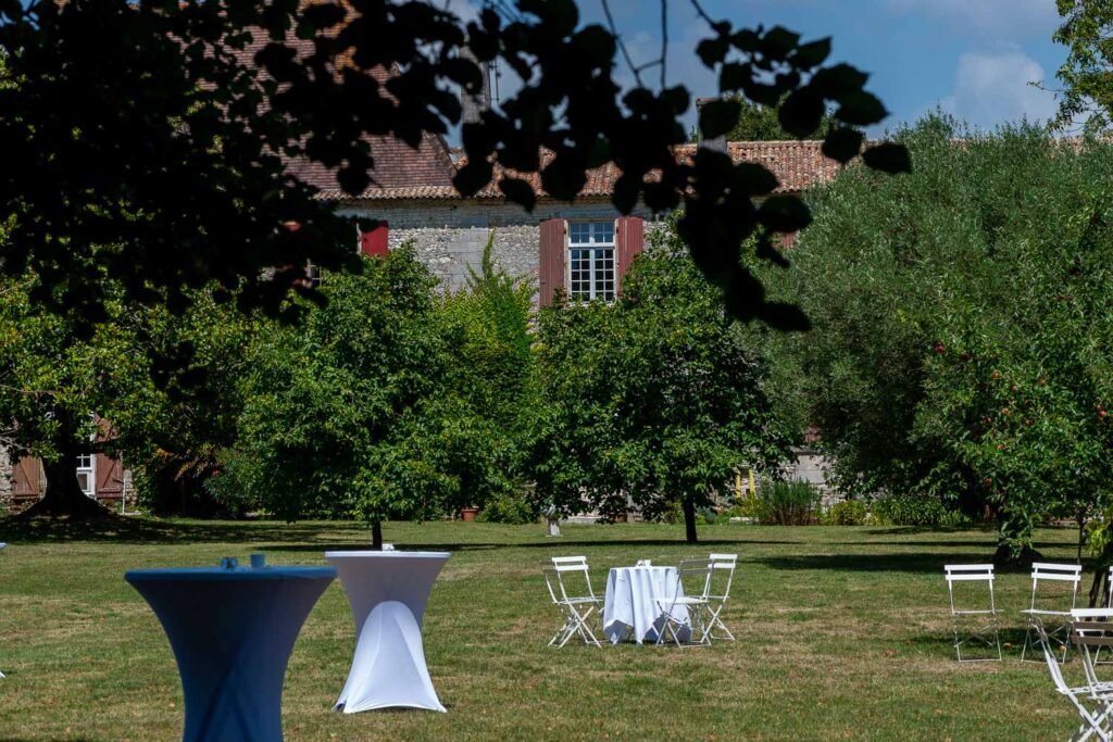 Chateau de Theon en Charente Maritime