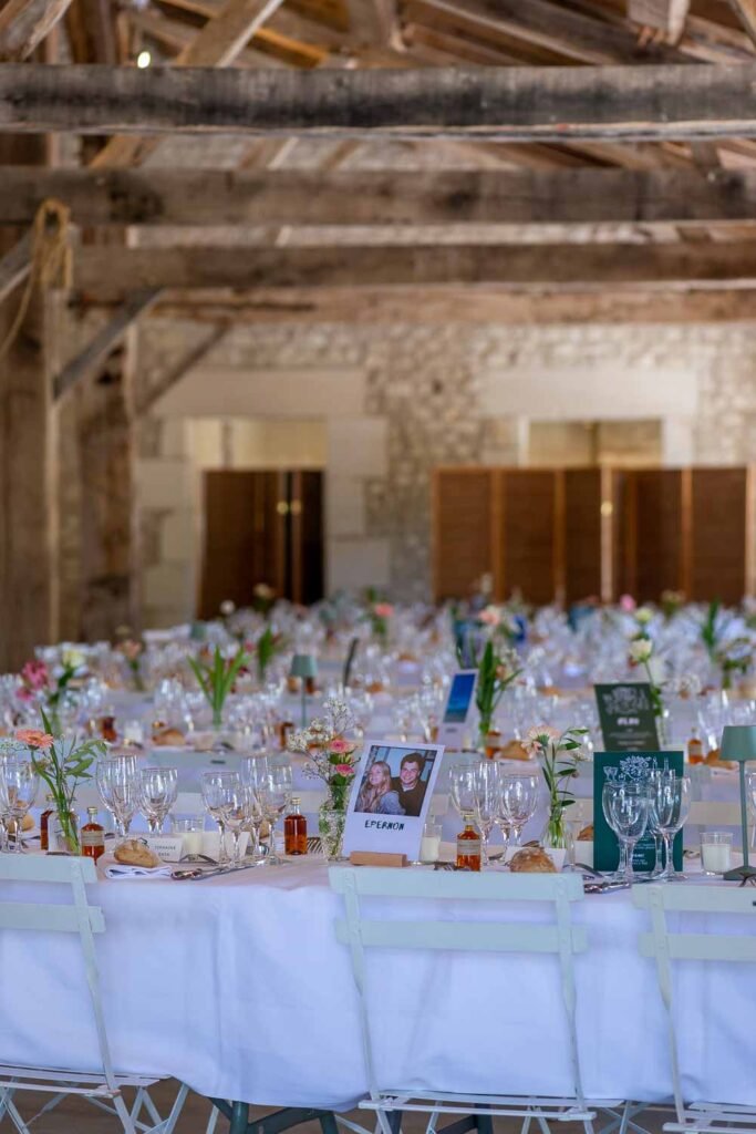Chateau de Theon en Charente Maritime