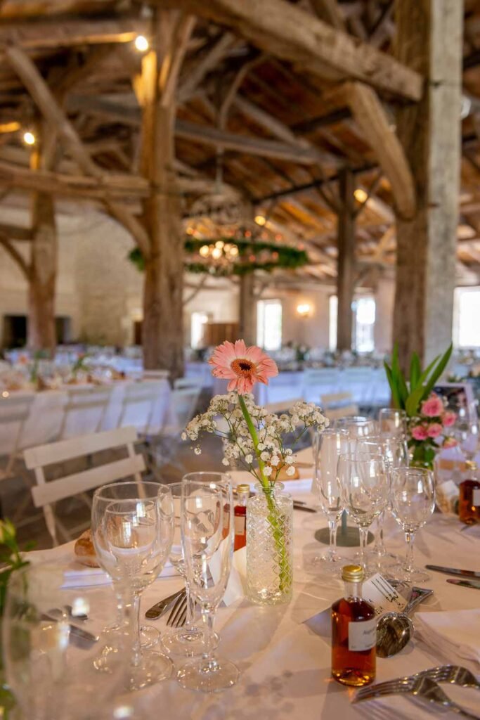 Chateau de Theon en Charente Maritime