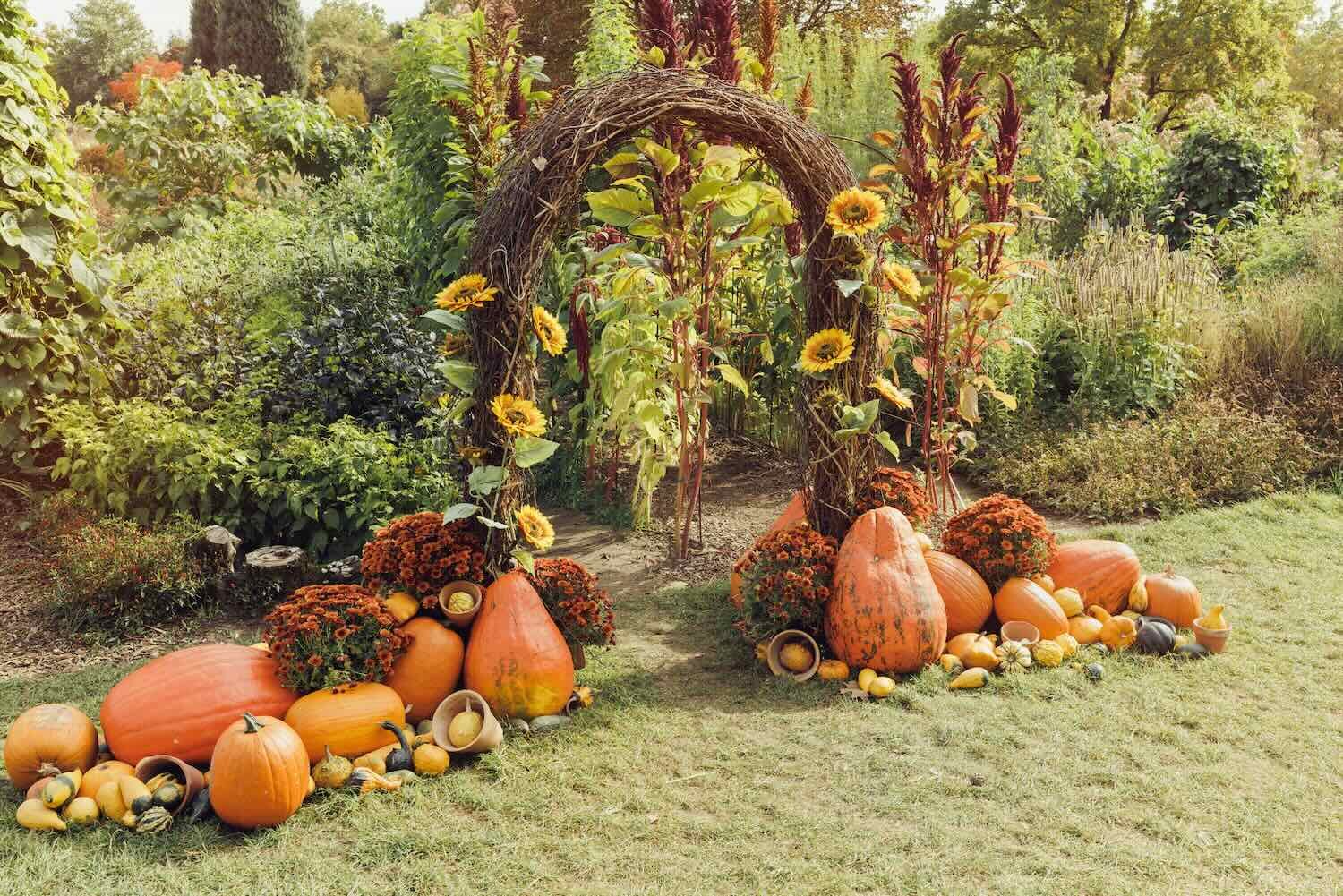 photo de mariage en automne